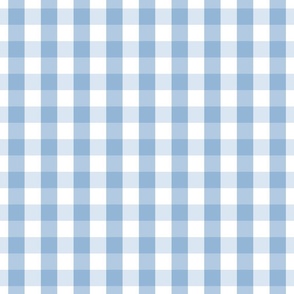 1 inch Airy Blue Gingham Check