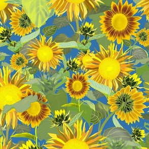 Sunflowers.