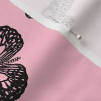 Graphic Butterflys on Pink
