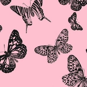 Graphic Butterflys on Pink