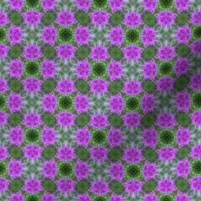 Thistle Flower Kaleidoscope