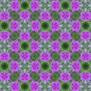 Thistle Flower Kaleidoscope
