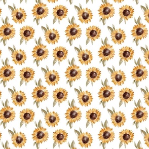 sunflowers12