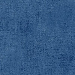 Denim Blue Canvas (#2f517a)