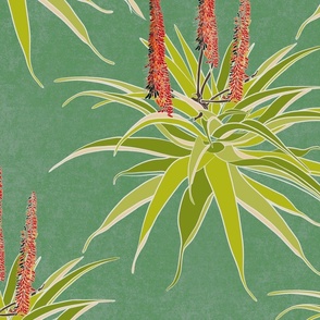 Aloes in green medium