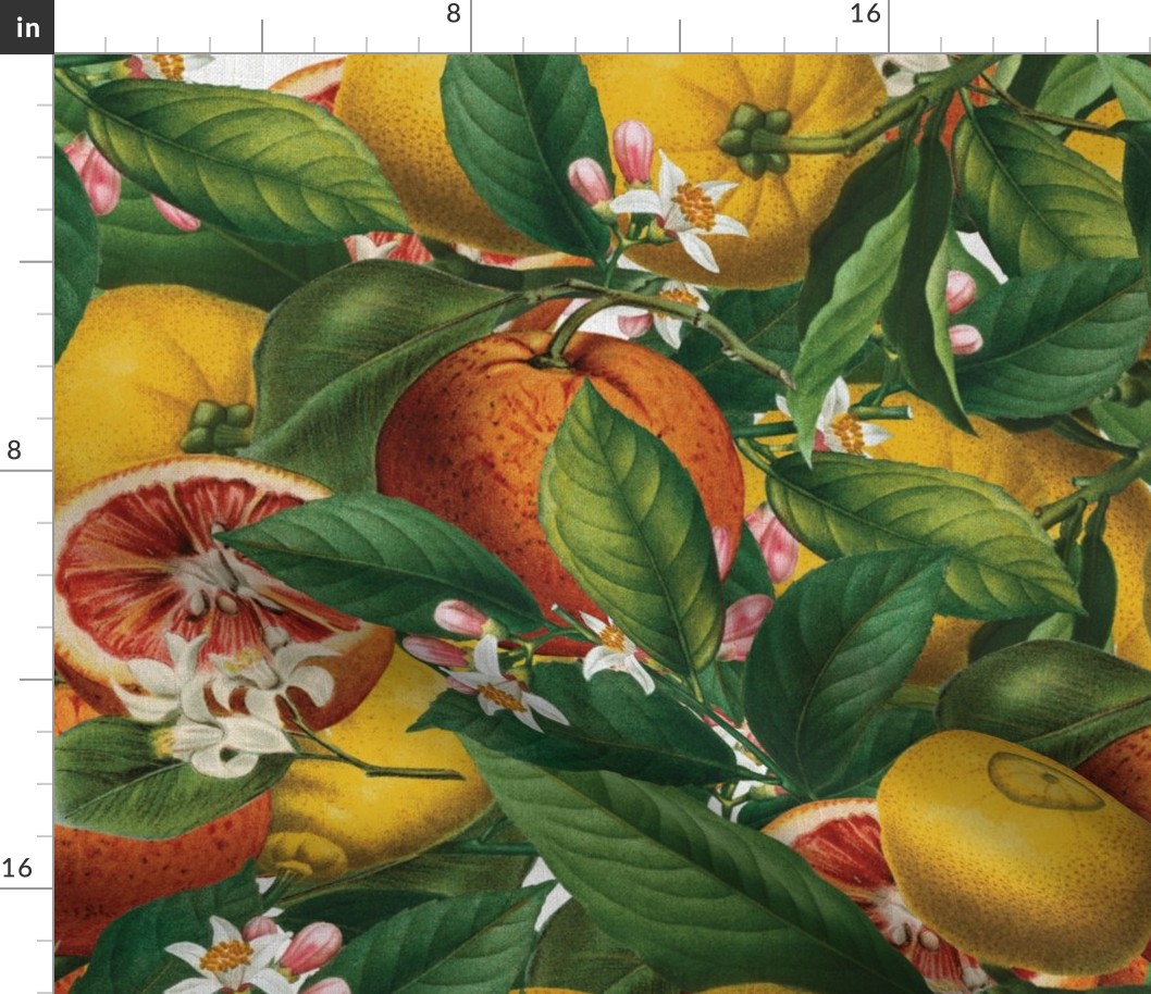 CALIFORNIA CITRUS - BRIGHT COLORS WITH FABRIC TEXTURE