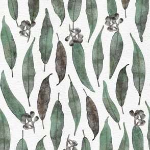 Eucalyptus Leaves Watercolour White