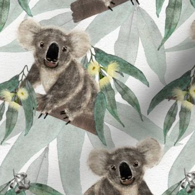 Australian Koala & Gum Leaves Watercolour White