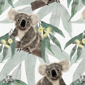 Australian Koala & Gum Leaves Watercolour White