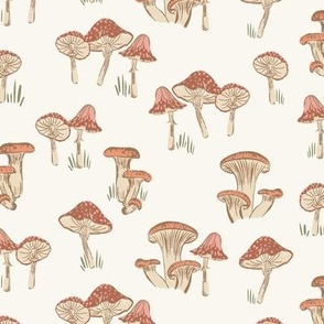 Little Mushrooms_Medium_Blushing-Hufton-studio