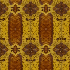 AJ YELLOW AND BROWN MOTH ABSTRACT 2-JUMBO-MIRROR