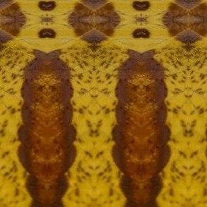 AJ YELLOW AND BROWN MOTH ABSTRACT 1-JUMBO-MIRROR