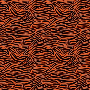 Zebra orange and black