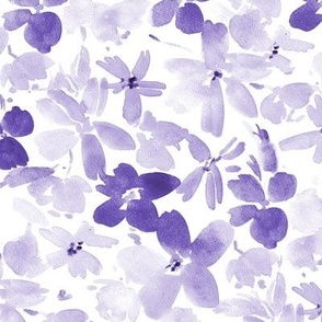 Amethyst dolce bloom in royal garden - watercolor florals - painted flowers - wild flowers nature bouquet a993-13