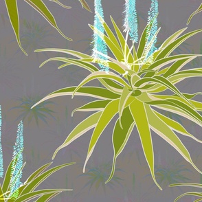 Aloes in grey and green with blue 