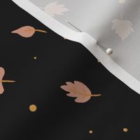 Fall leaves | Black Background