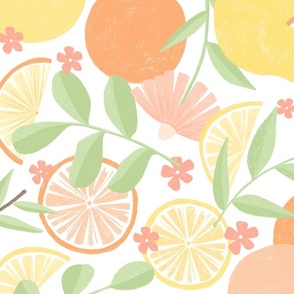 Citrus Pattern with white Background