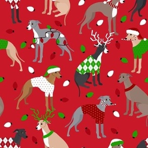 Italian Greyhound Christmas Red
