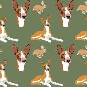 Podenco Dog small print - pet fabric