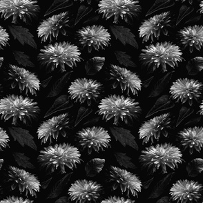 Dahlia Blooms in Black and White (small scale) 