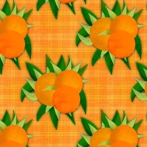 Mandarins, clementines, oranges on orange plaid small grid