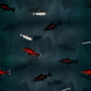 Fish Traffic