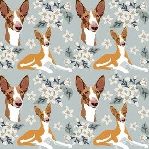 Floral Podenco Dogs pastel blue and white flowers - dog fabric small print