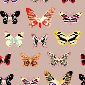 The Butterflies,  Sherwin Williams Post Modern Mauve