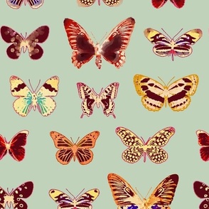 The Butterflies, 1950s Palette