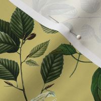 Vintage tropical Branches green Leaves and colorful   antique birds, Nostalgic bird, Tropical fabric, sage green