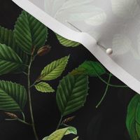 Vintage tropical Branches green Leaves and colorful   antique birds, Nostalgic bird, Tropical fabric,  night black - double layer