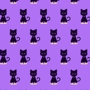 Cute cats in sneakers on purple 