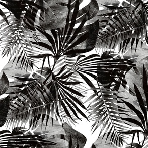 Black and white layered tropical leaves