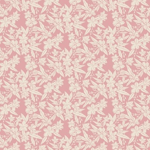 Oleander Blooms on a  pink background
