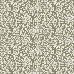 Ditsy White Blooms on a sage background