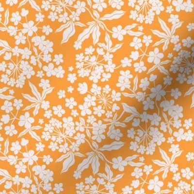 Ditsy White Blooms on an orange background