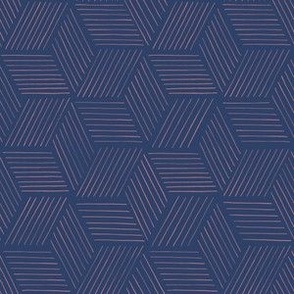 Geo hexagon with pink lines on a dark blue background