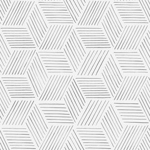 Geo hexagon with black lines on a white background