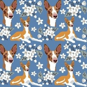 Floral Blue Denim Podenco Dogs small print - dog fabric