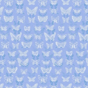 The Butterflies, Wonderland Blue