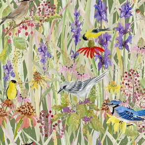 birdwatching-in-my-gardencedar waxwing-bluejay-gold finches-hummingbird-mockingbird-coneflowers-viburnum-grasses-berries-yellow-blue-red-pink on green