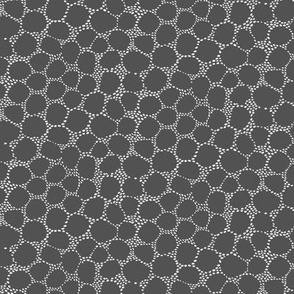 mini white dots on dark grey pebble pattern