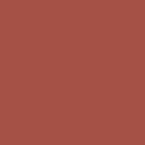 Earthy red brown solid plain color coordinate