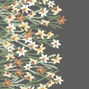 Daffodil Border in Charcoal