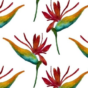 6" Bird of Paradise Flowers / Orange White Green / Watercolor Botanical