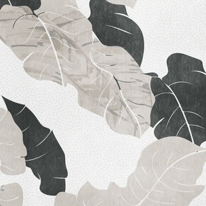 tropical foliage - tropical abstract palm leaf foliage - monochrome soft grey charcoal black