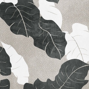 tropical abstract palm leaf foliage - monochrome medium grey charcoal black and white