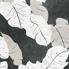 tropical abstract palm leaf foliage - monochrome charcoal black and white