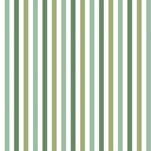 Green stripe to coordinate with Rose Rabbit fabric