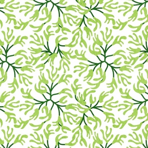 Ocean Calling- Sea Life- Kelp Seaweed in Green- Cloakroom/Powder Room/Bathroom Wallpaper- Large Scale
